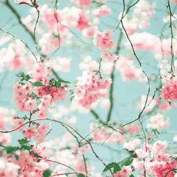 www.gifcreator.me_dskwmu