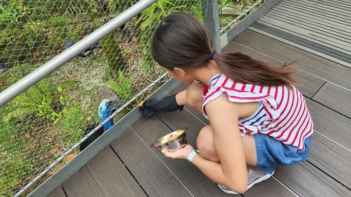 Animal feedings are the highlight every time we visit Bird Paradise.