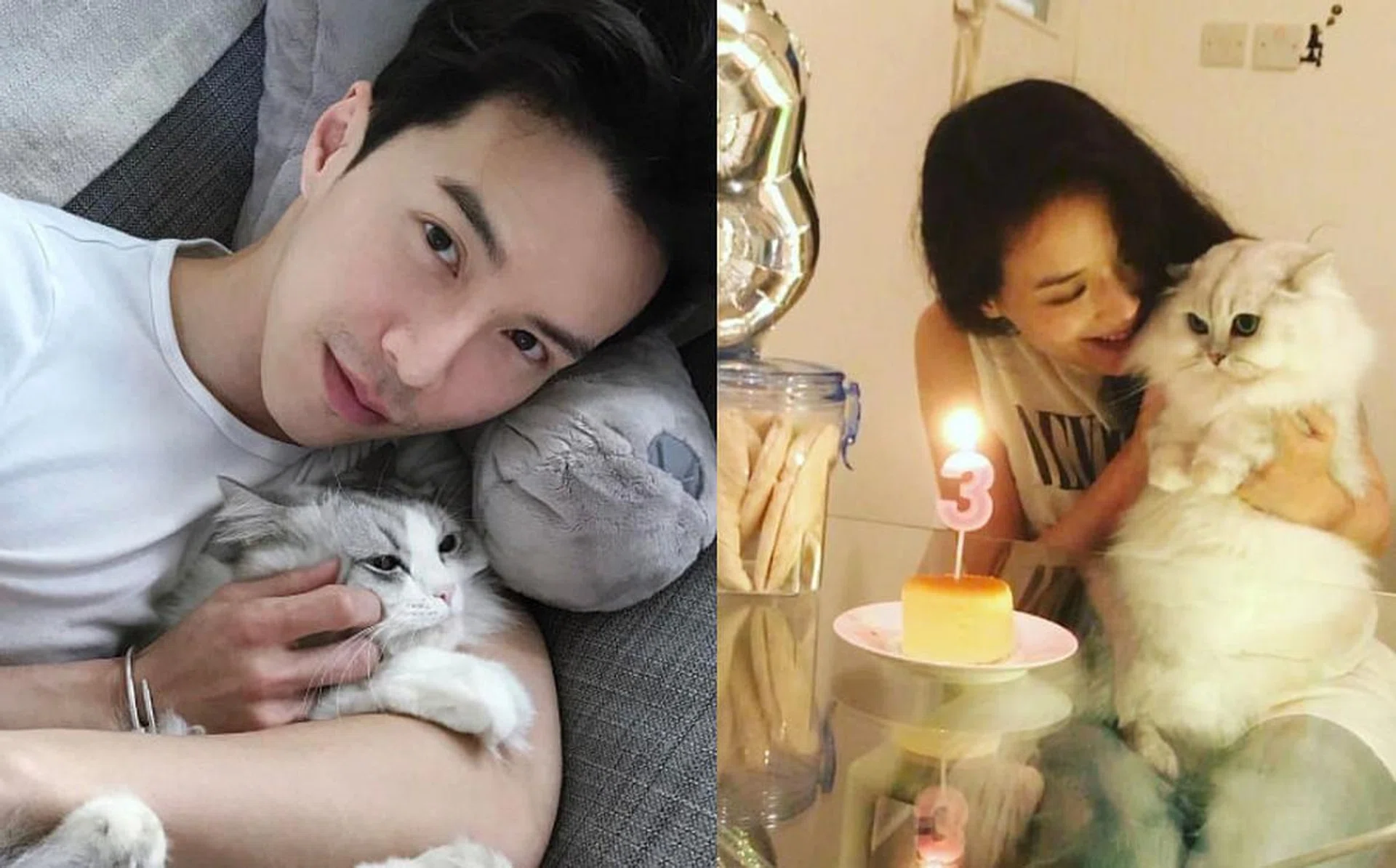 Celebrities with cats