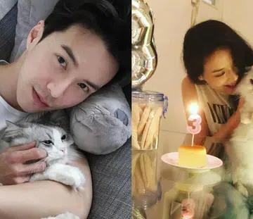 Celebrities with cats