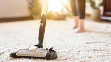 The standing vacuum special edition