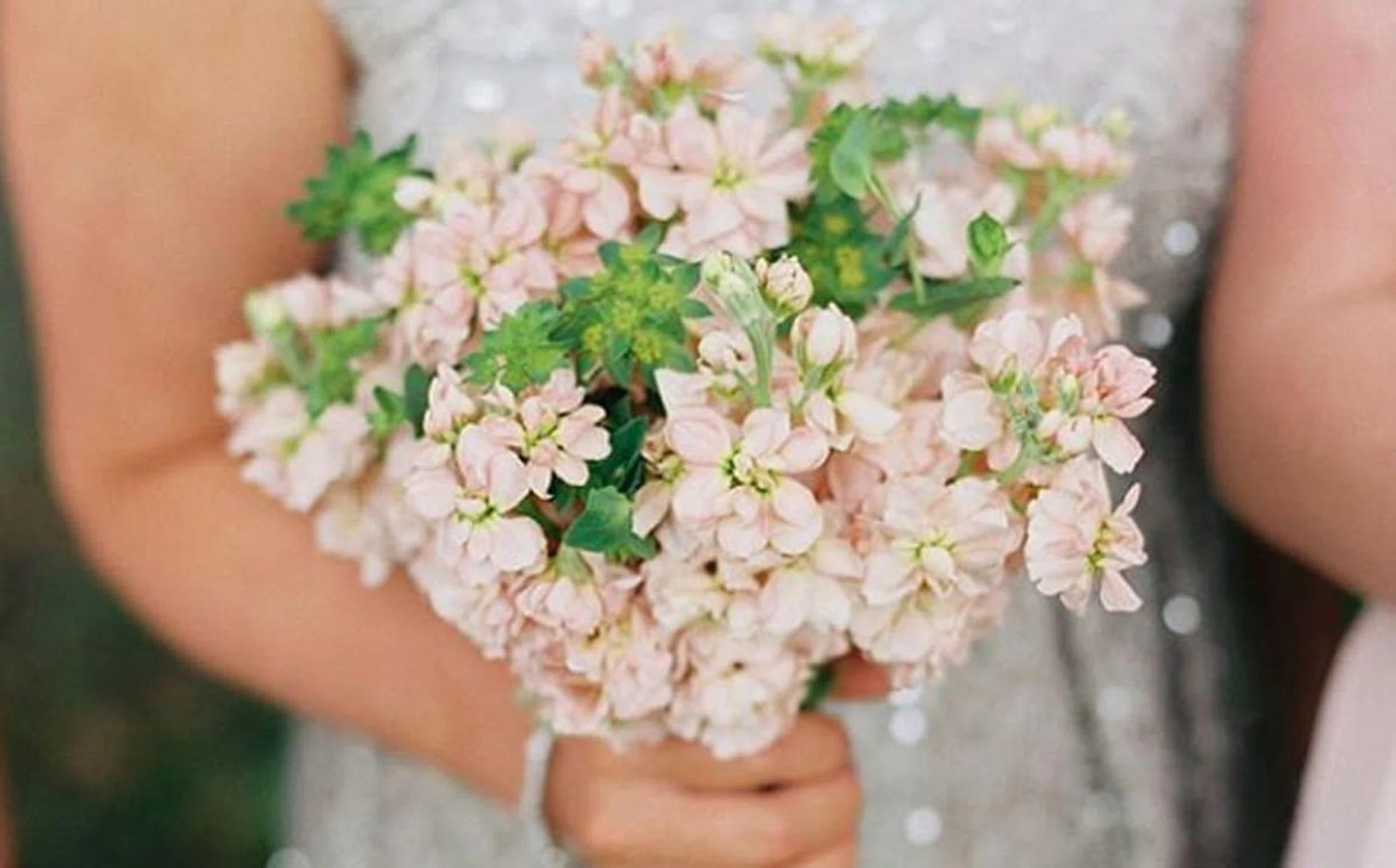 matthiola_bridesmaid_bouquet