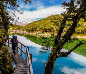 milford_track_r