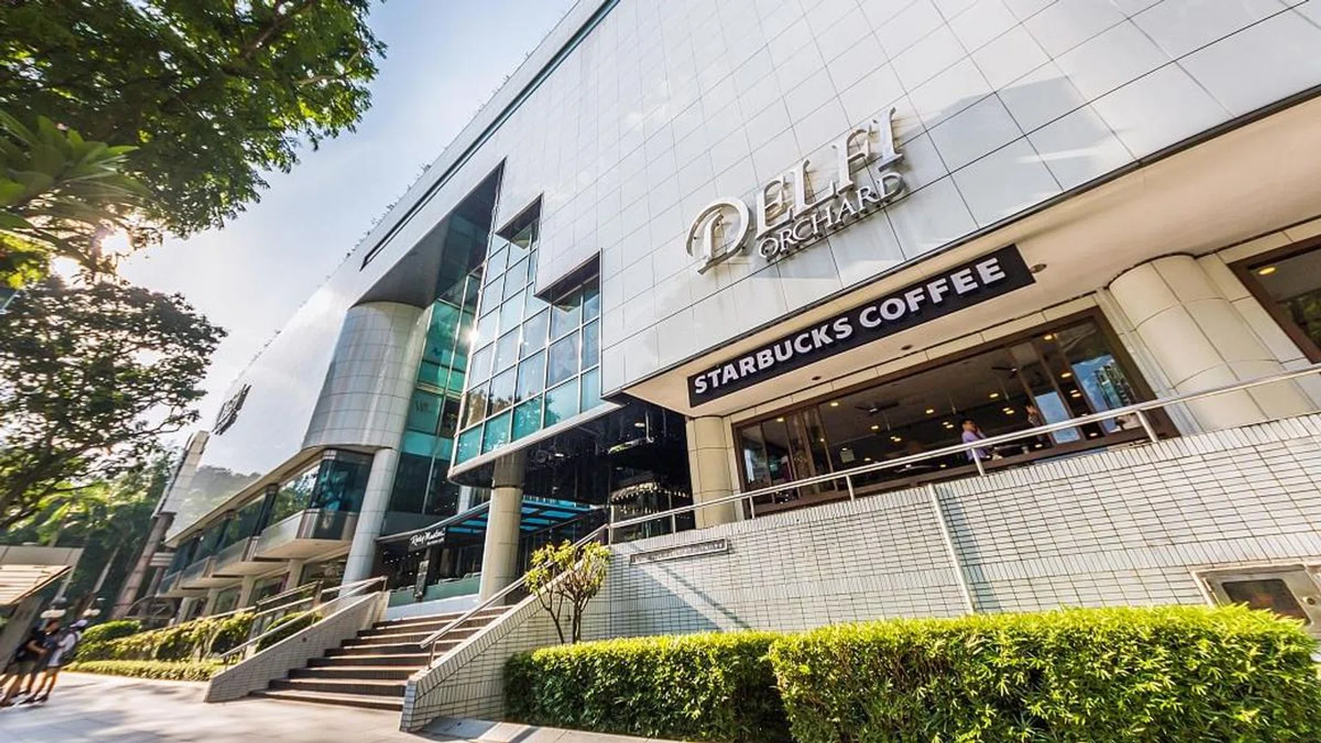 delfi orchard shops special occasion