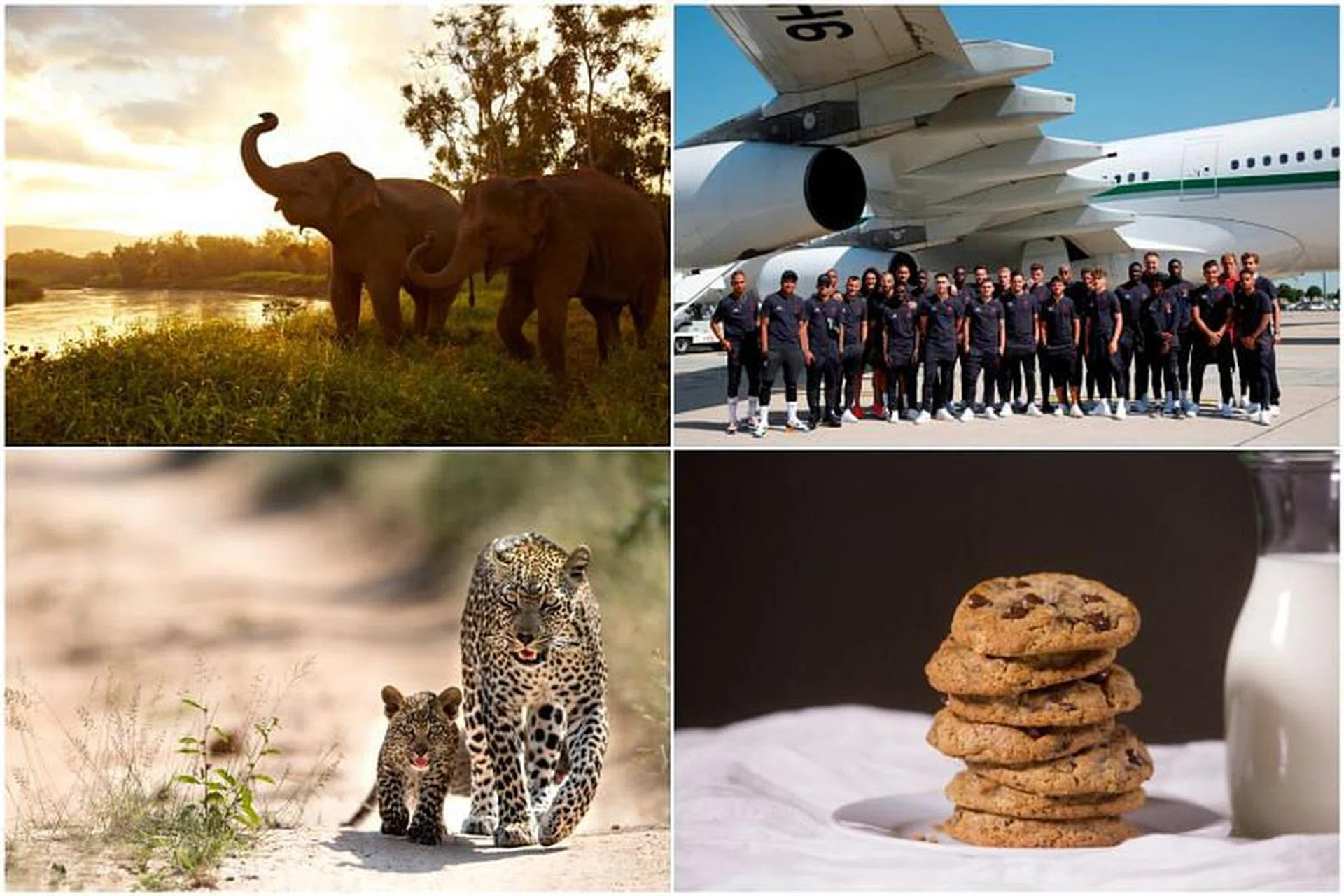 Credit: ANANTARA, ACCOR, SINGITA, HILTON WORLDWIDE