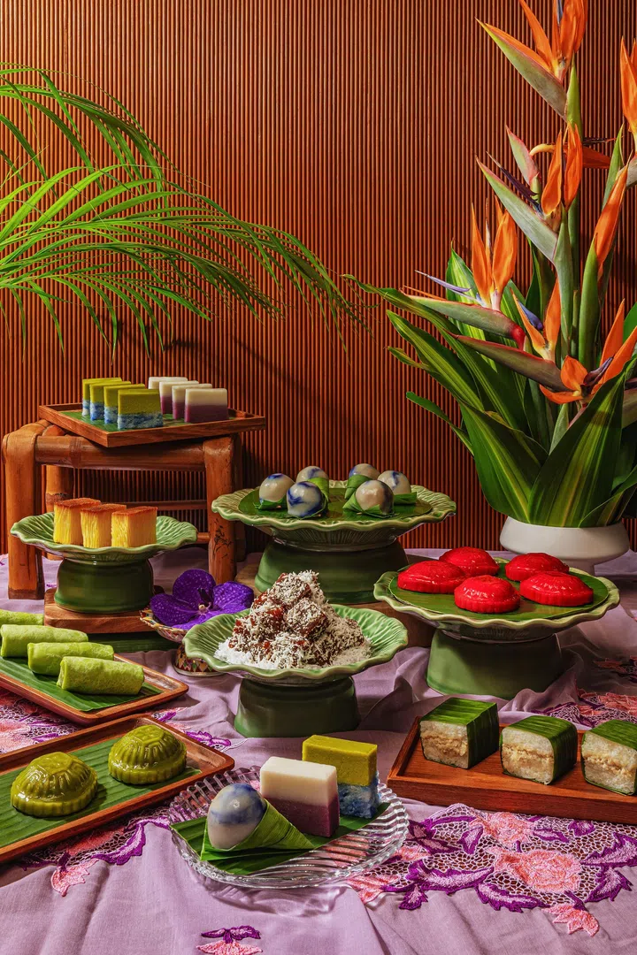 hybibik - BIBIK VIOLET KUEHS

Credit: BIBIK VIOLET