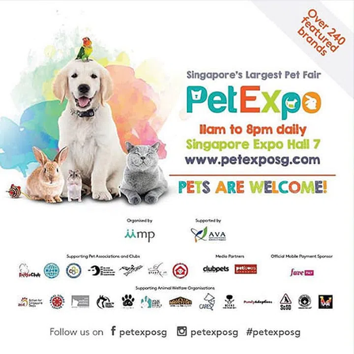 petexposg/instagram