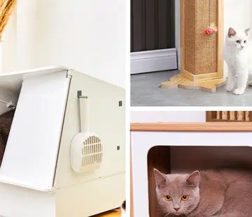 Home accessories for your cat