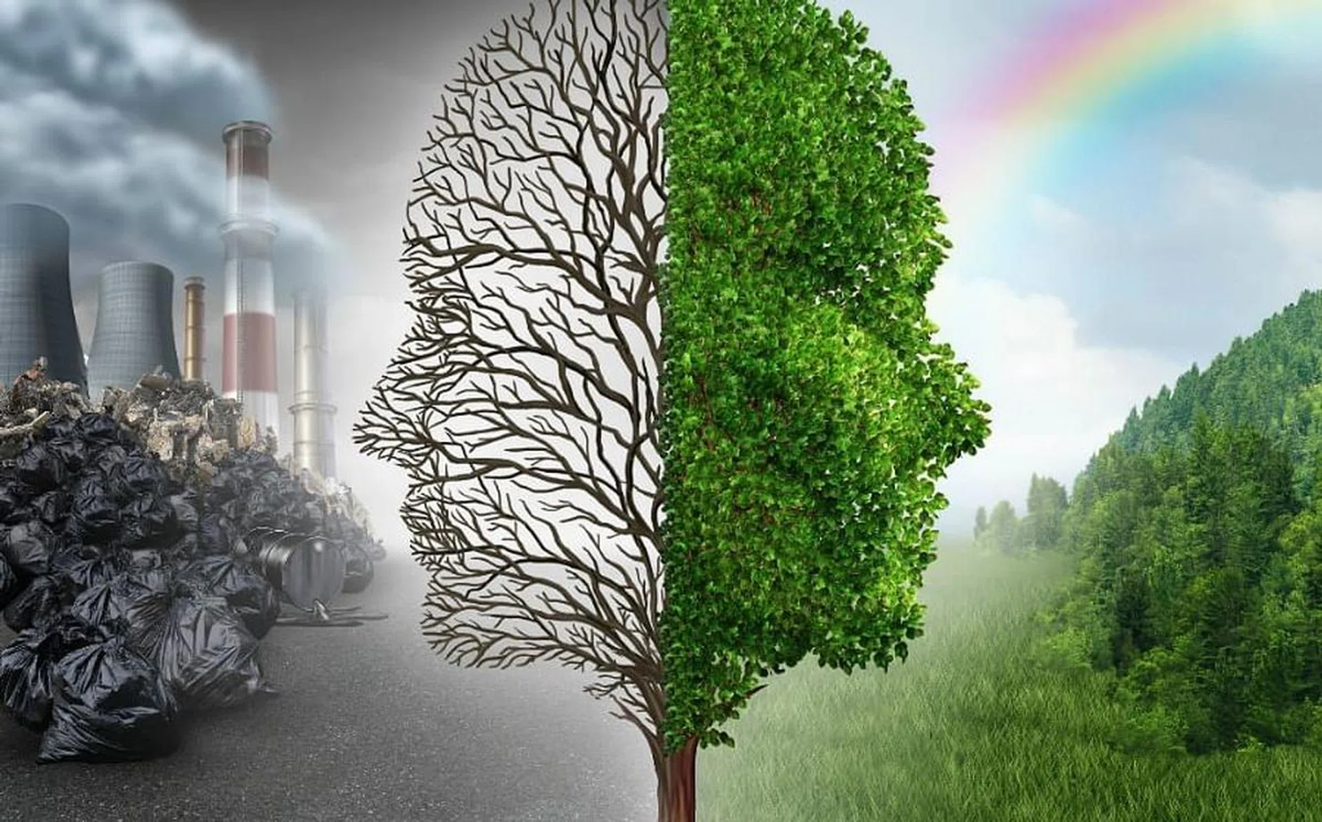 10 small lifestyle changes to help the environment 