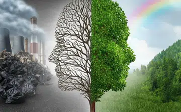 10 small lifestyle changes to help the environment 