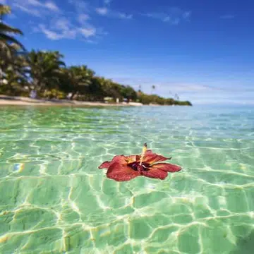exotictravel