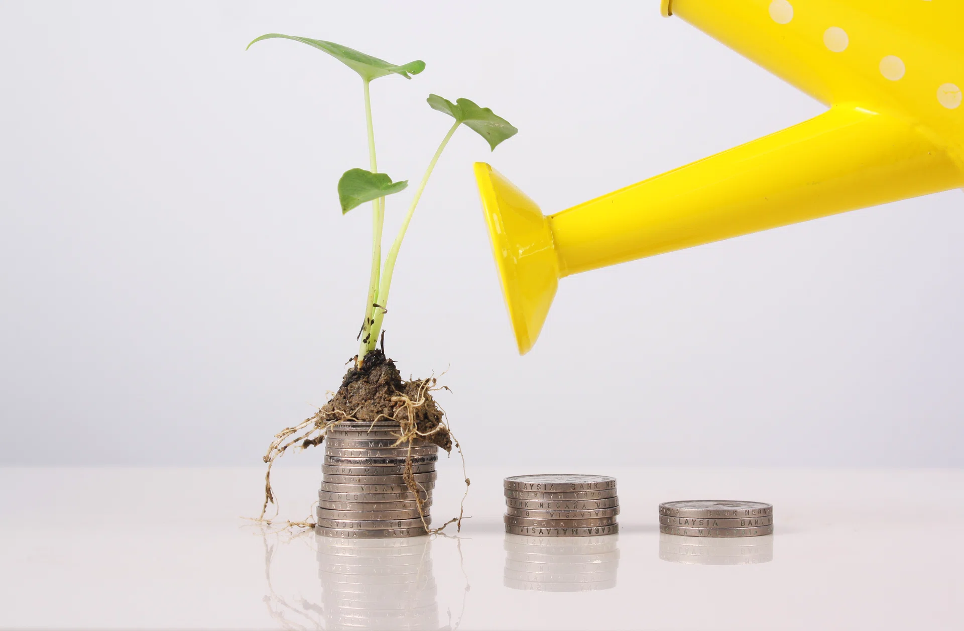 Conceptual image for investment in white background