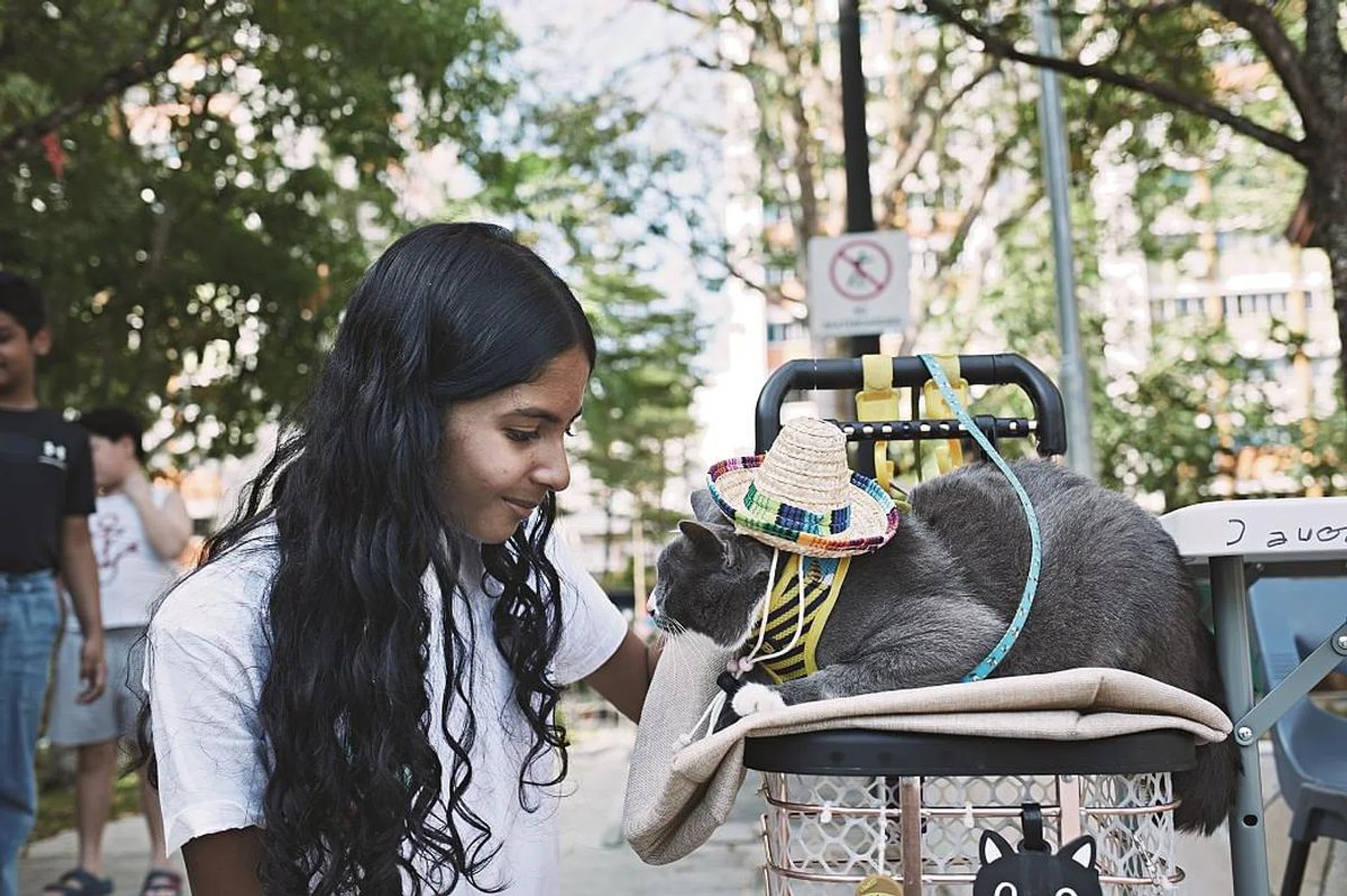 animal-assisted therapy in Singapore