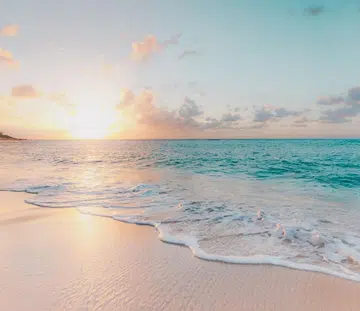 the_insiders_guide_to_honolulu_rect_