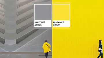 Pantone colour 2021