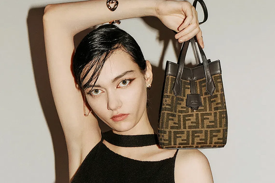 Fendi bag collection sale