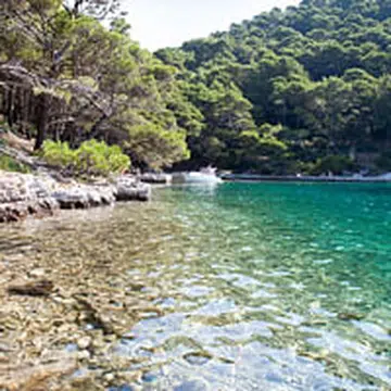 mljet T