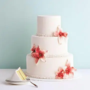 sg50 cake.jpg