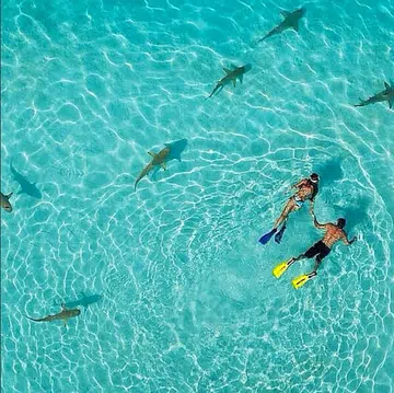 swimmin