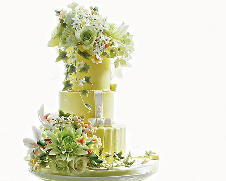 PHOTOGRAPHY VERNON WONG, STYLING STEVE THIO, SALLY HO & MICHELLE LEE