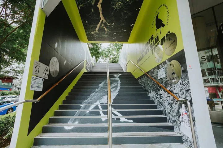 Credit: Colossal Photos