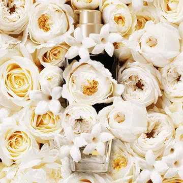 We bet your girlfriends will love this surprisingly Instagrammable hair gift