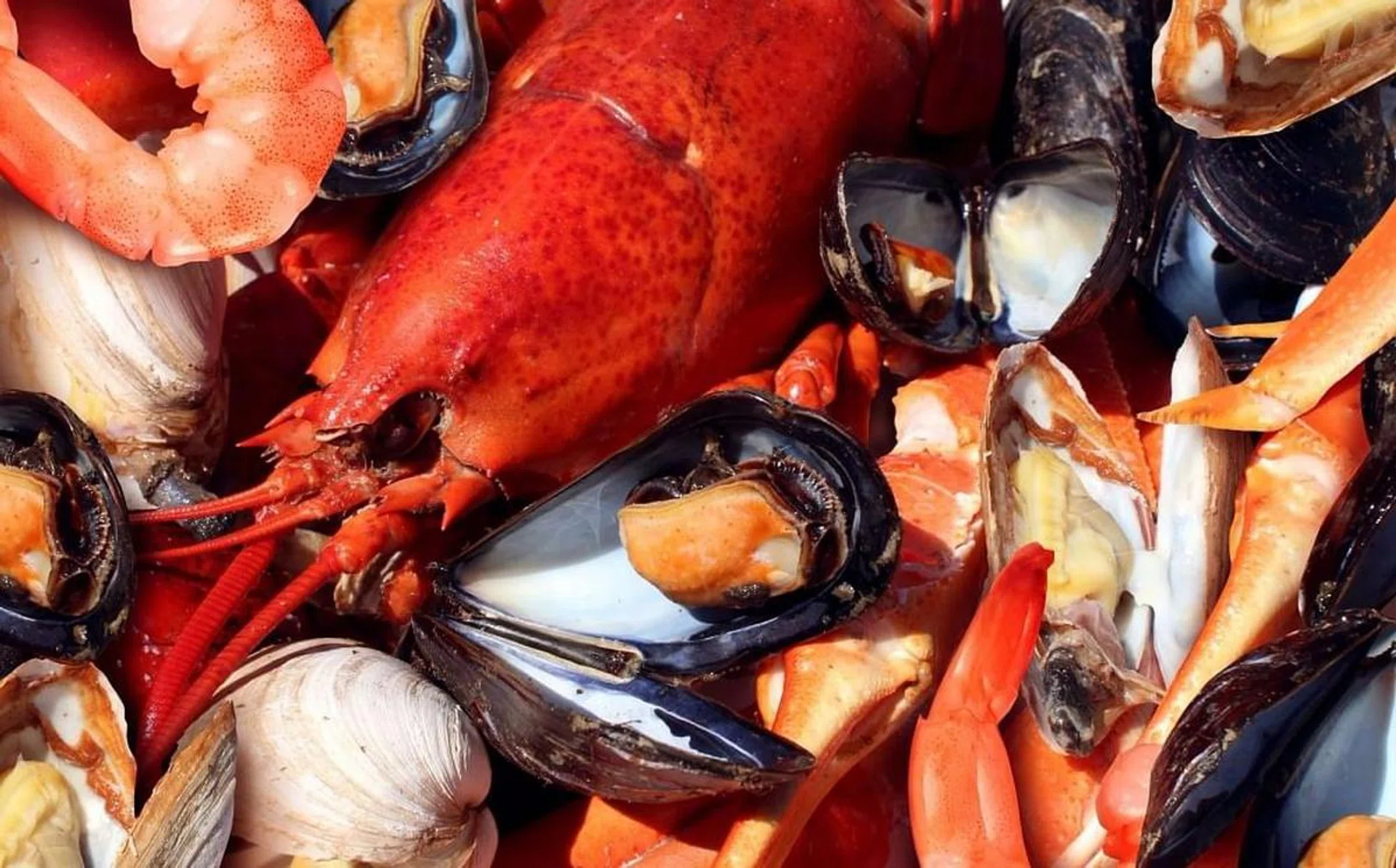 seafood