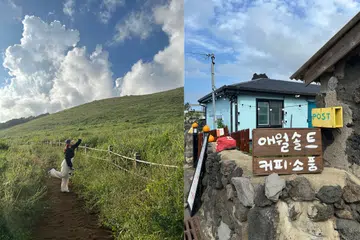 Scenic 2D1N Jeju Island itinerary with beaches, waterfalls, cafés, shopping streets and budget-friendly travel under S$500 | Her World Singapore