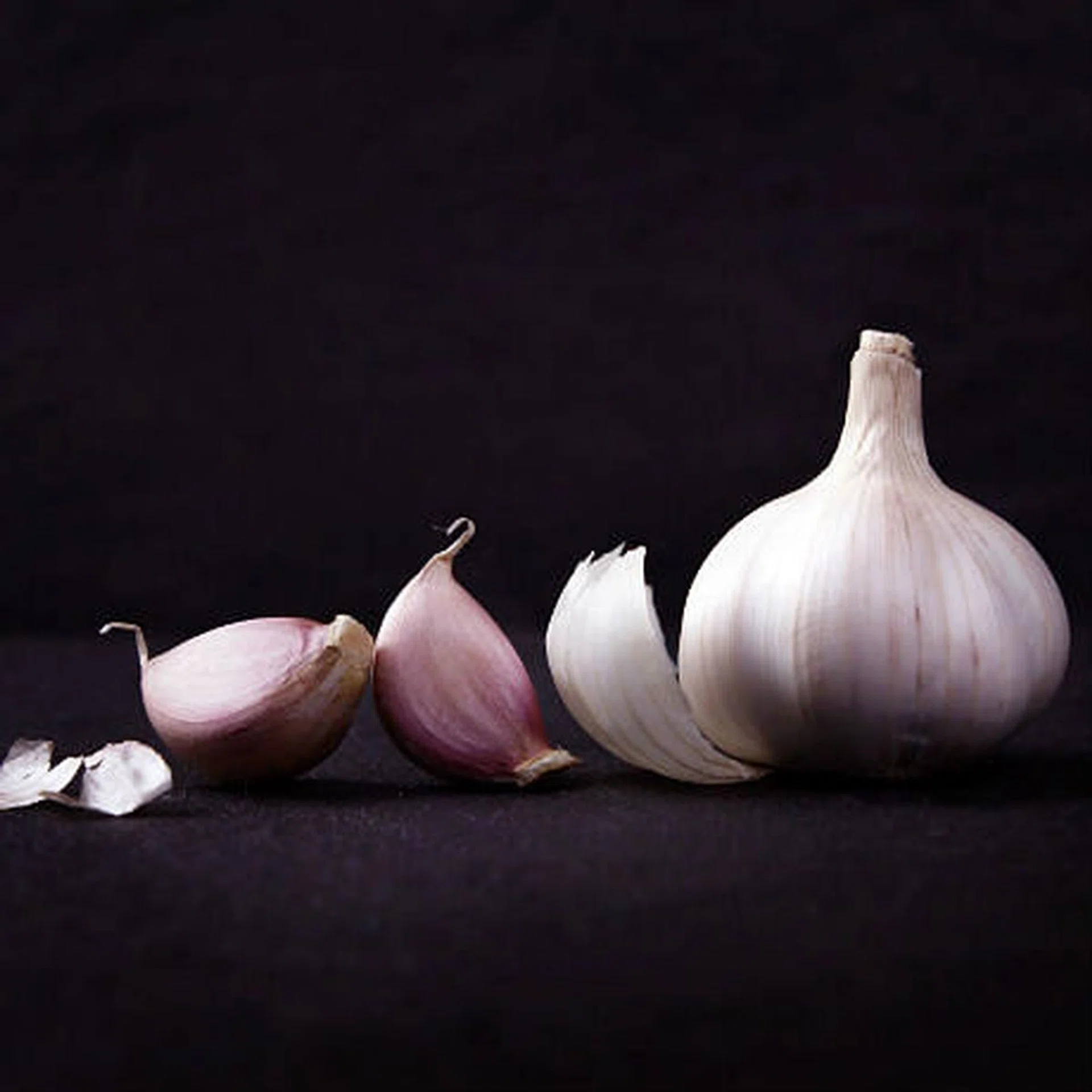 garlic_tn