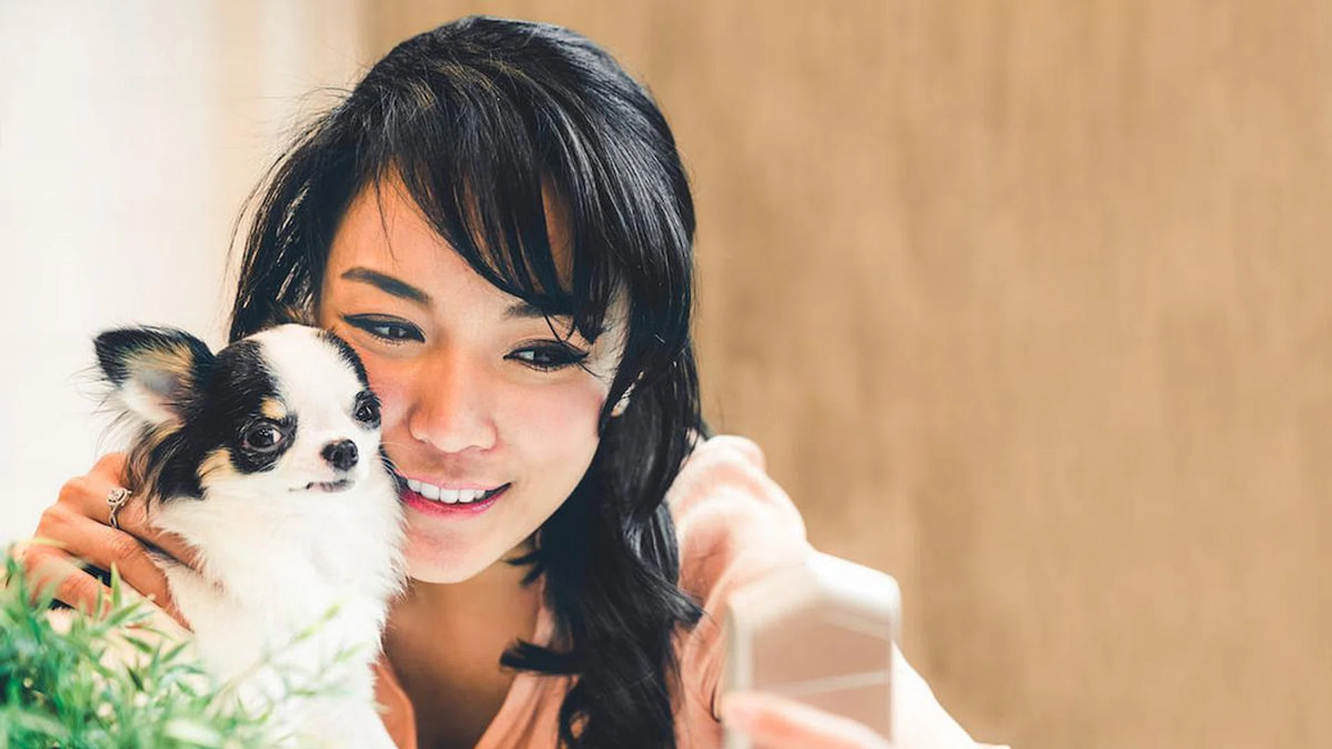 most popular dog breeds on Instagram