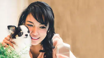 most popular dog breeds on Instagram