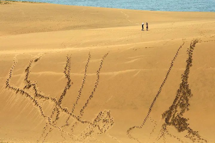 TOTTORI, JAPAN - JULY 21:  Tourists walk on Tottori sand dunes on July 21, 2012 in Tottori, Japan. The dunes are the largest of their kind in Japan, at 16 kilometers long from east to west and 2 kilometers wide from north to south. (Photo by Buddhika Weerasinghe/Getty Images)