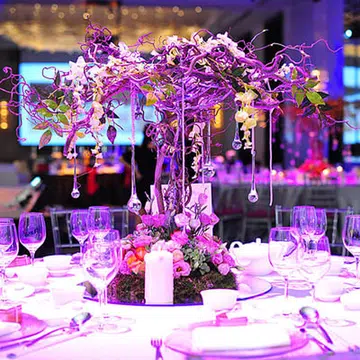  Award winning venue! 4 reasons to have your wedding atÃƒâ€šÃ‚Â TheÃƒâ€šÃ‚Â Westin Singapore