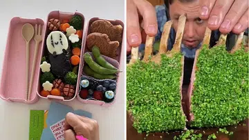 TikTok & Instagram Accounts For Fun Recipes, Cooking Hacks & More