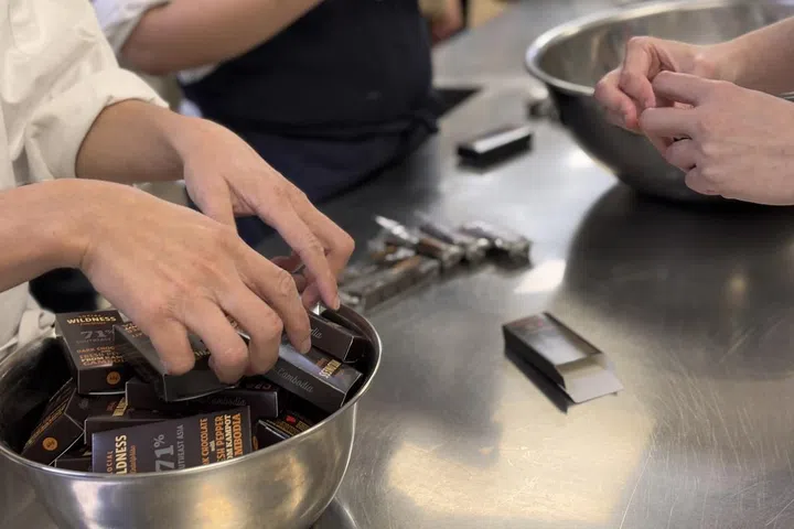 Wildness Asia chocolates