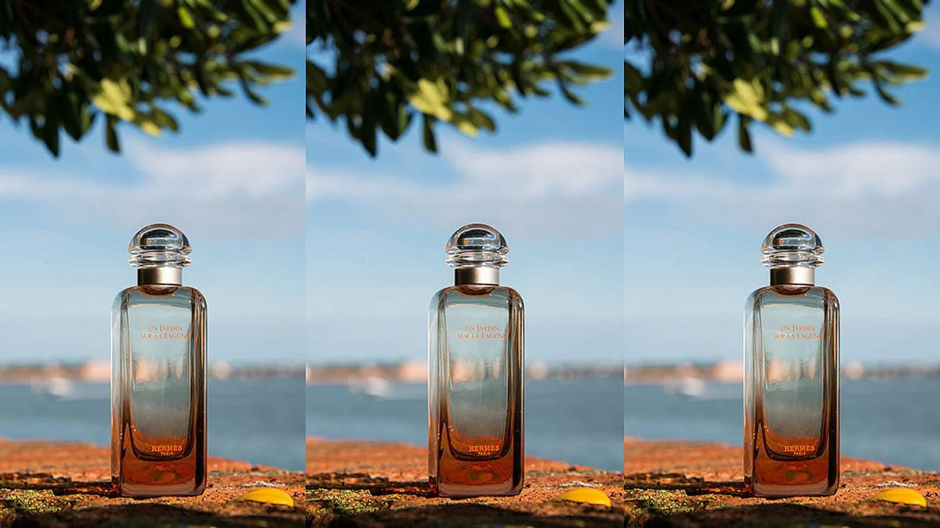 Around the World in Eight Scents