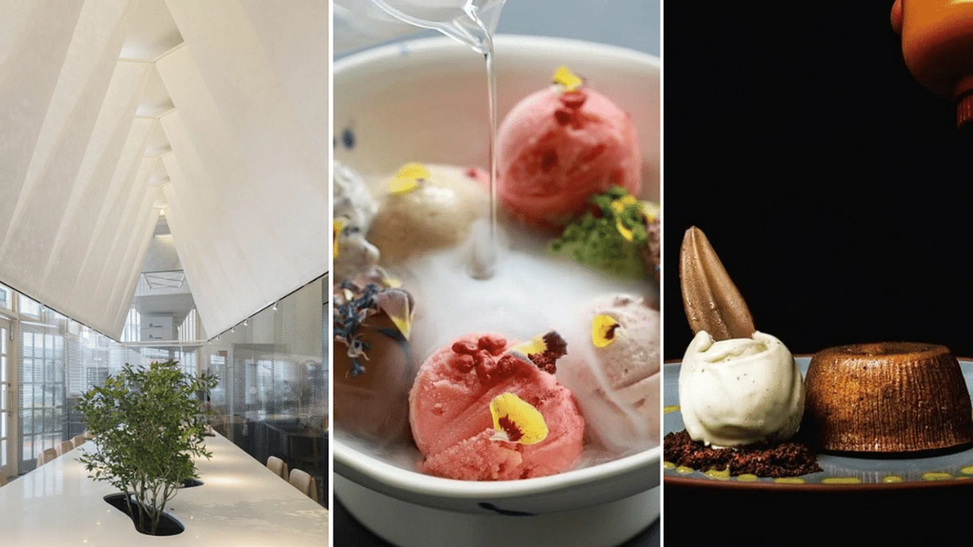 Artisanal Dessert Bars