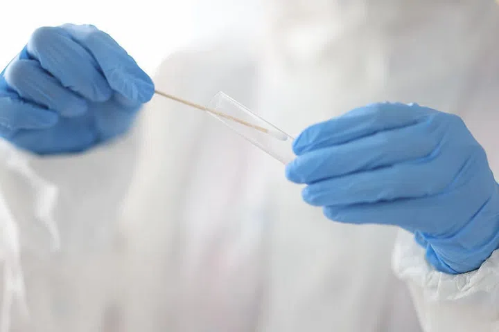 Doctor holds test tube and cotton swab in his hands with medical gloves in laboratory close-up. Dna expertise genetic engineering concept.