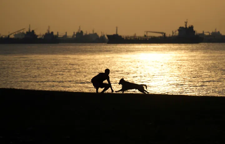 夕阳下的金色海岸线，一人一犬追逐嬉戏，在静谧的暮色中尽显温馨与自由。海边、沙滩。