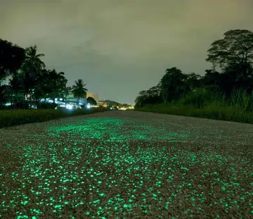 date ideas singapore
