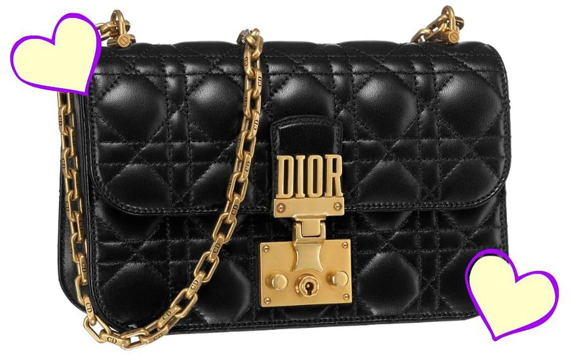 diorbag