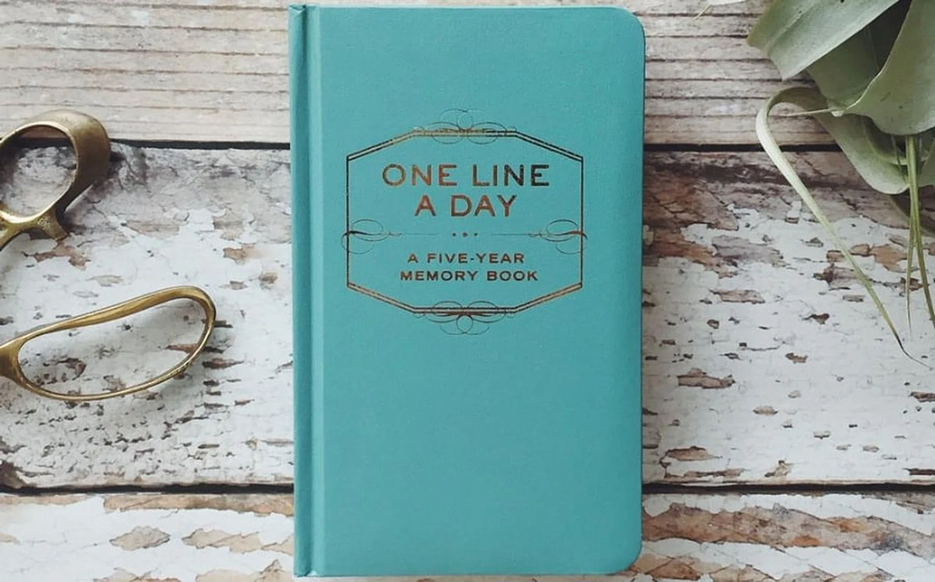 one_line_a_day_rect_