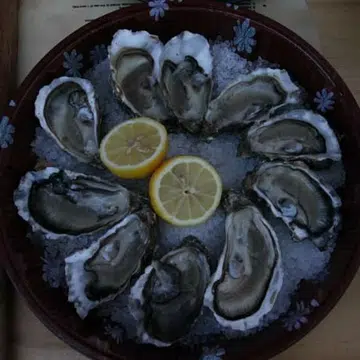 Siloso Grillfest