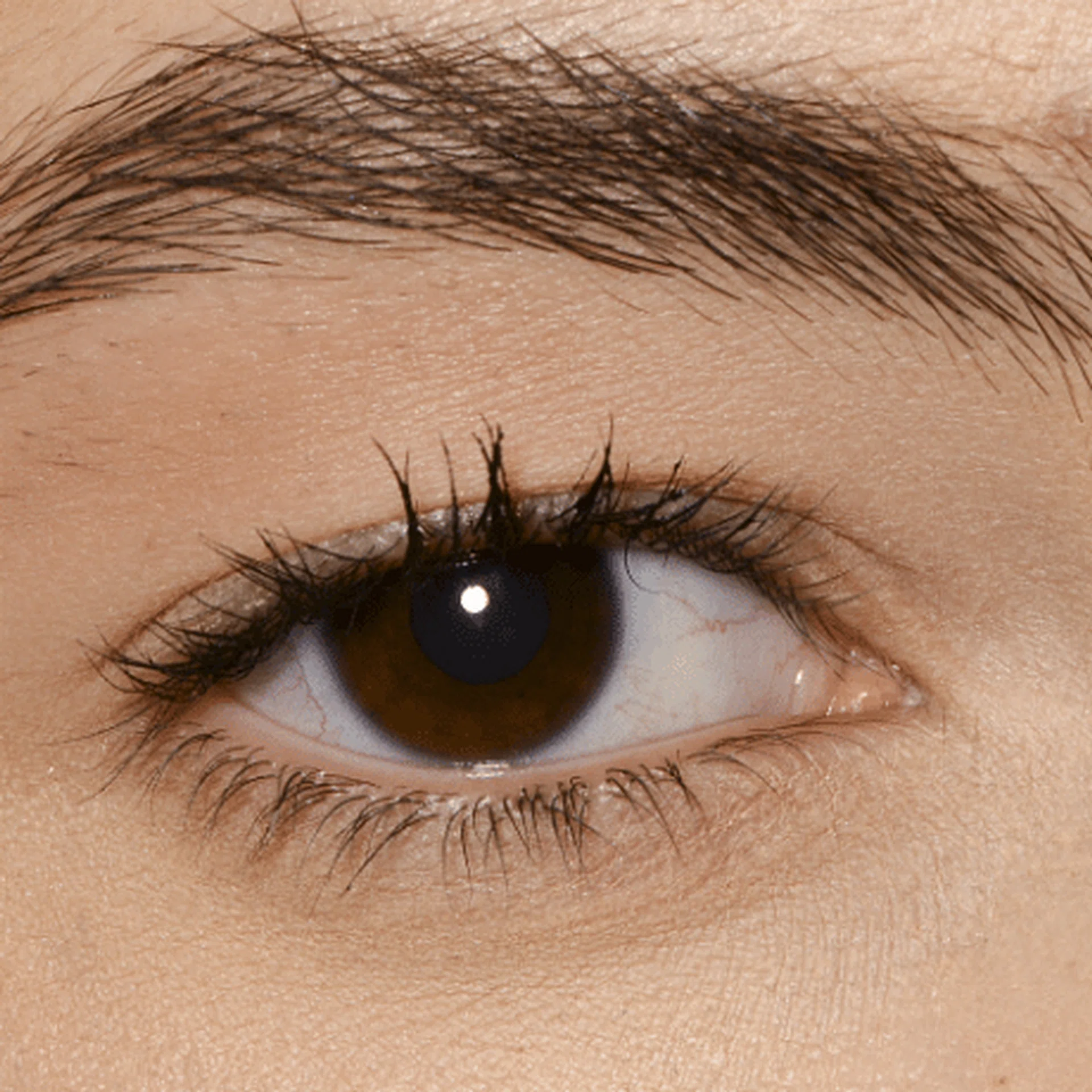 awesome_tips_and_products_to_keep_your_eyelashes_long_and_curled_all_day_t