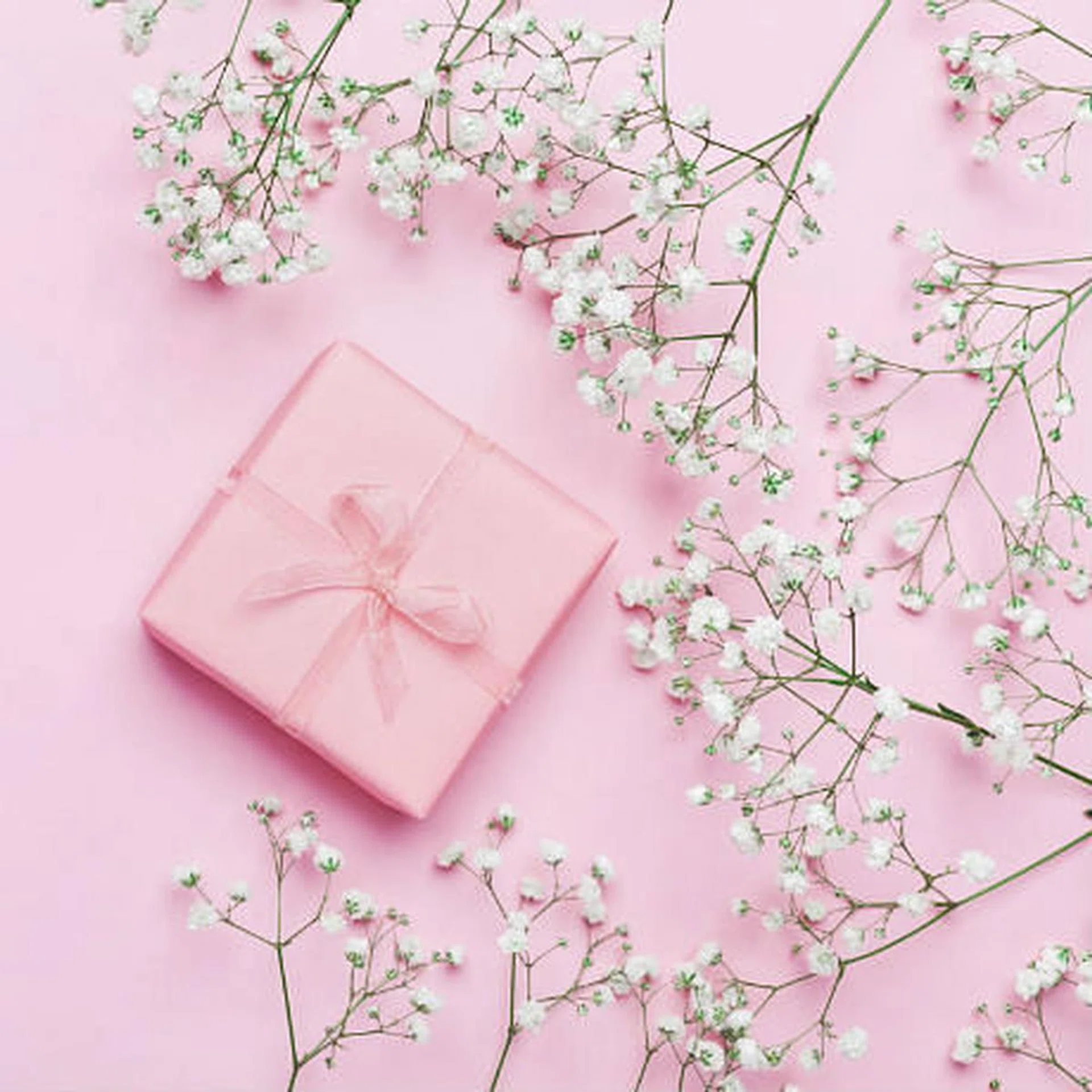gift_tn