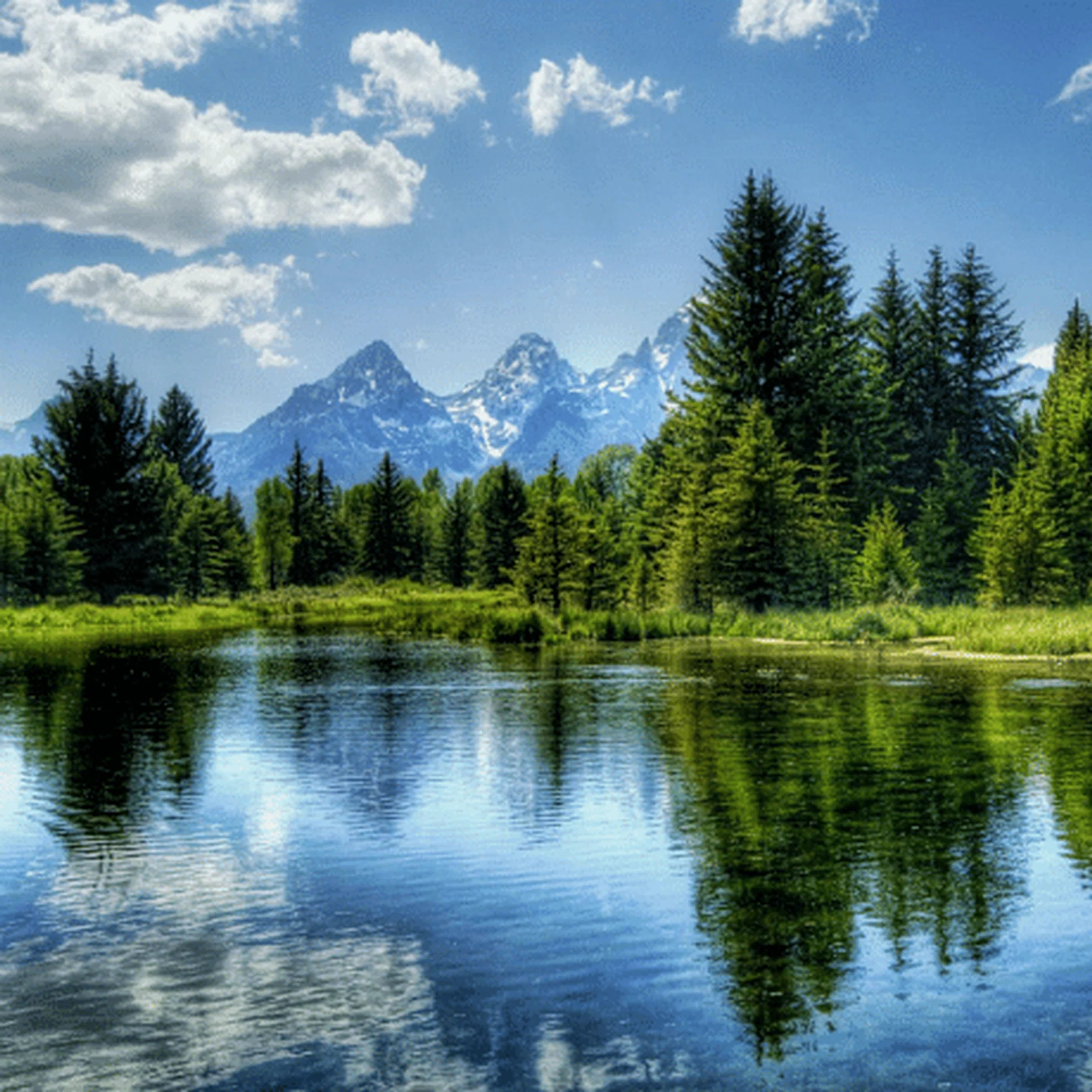earth_day_thumb