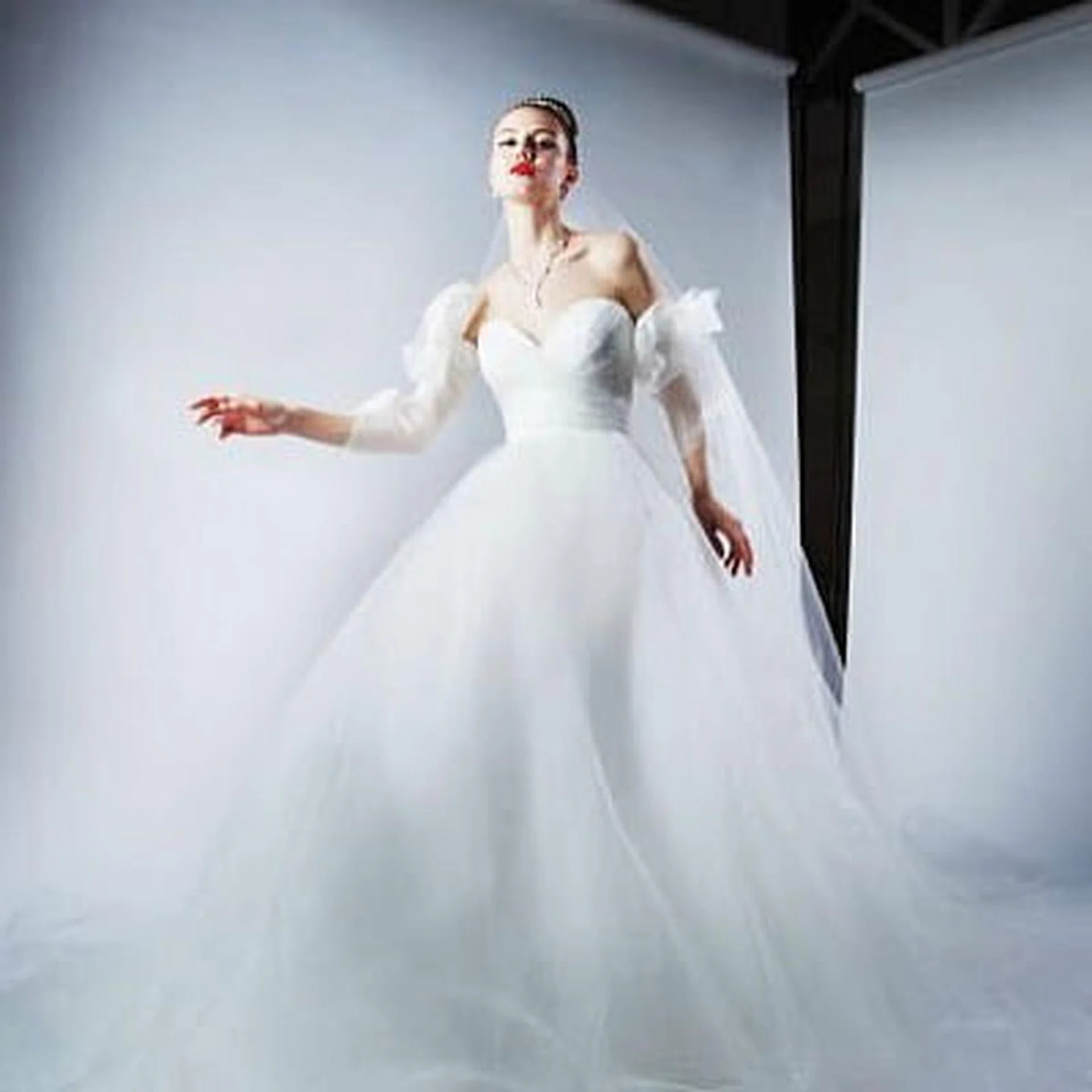bridal_veil_by_michelle_huimint