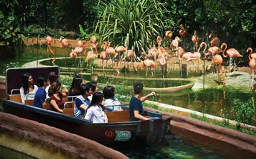 animal lover singapore