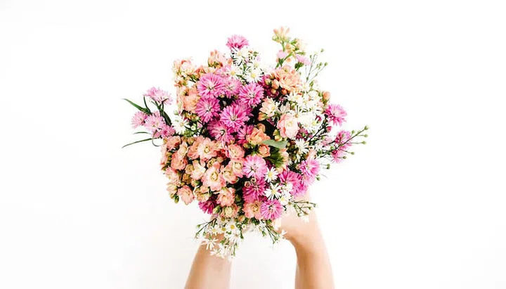 Girl's hands holding wildflowers bouquet on white background. Flat lay, top view