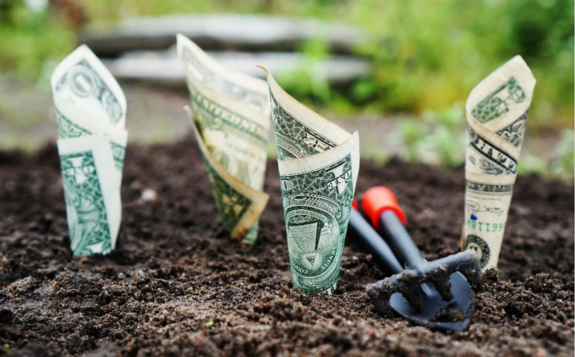investment_thumbnail_rectangle_2
